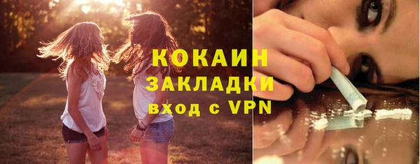 сатива Волоколамск