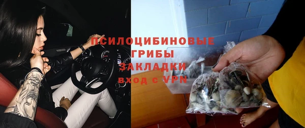 сатива Волоколамск