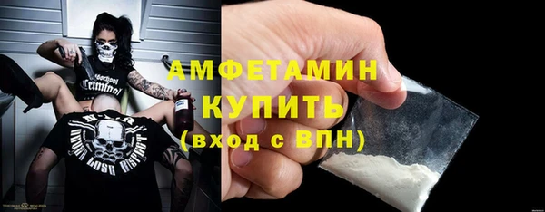 сатива Волоколамск