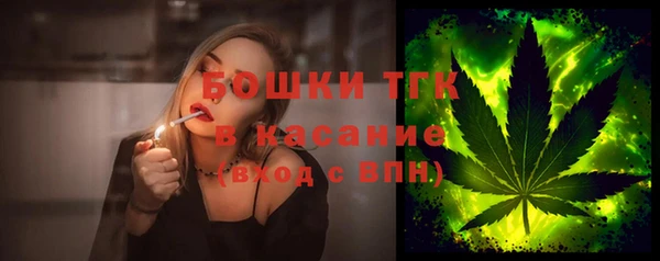 сатива Волоколамск