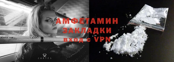 прущие грибы Волосово