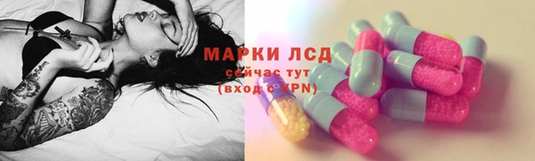 прущие грибы Волосово