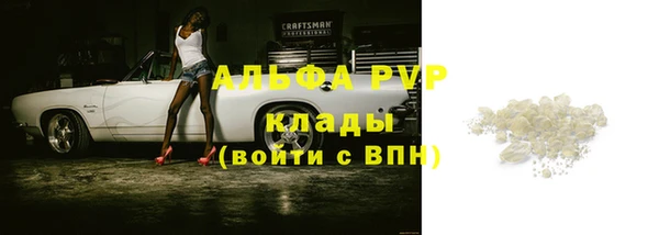 прущие грибы Волосово