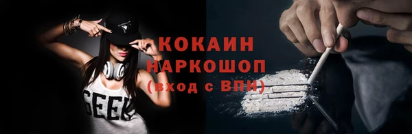сатива Волоколамск