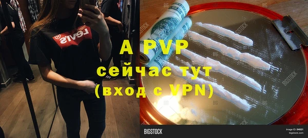 прущие грибы Волосово