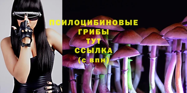 прущие грибы Волосово