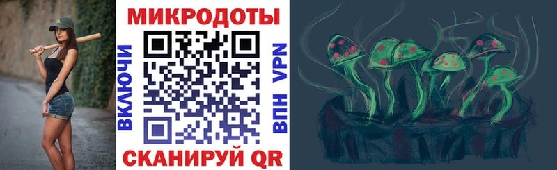 Галлюциногенные грибы прущие грибы  Высоцк 