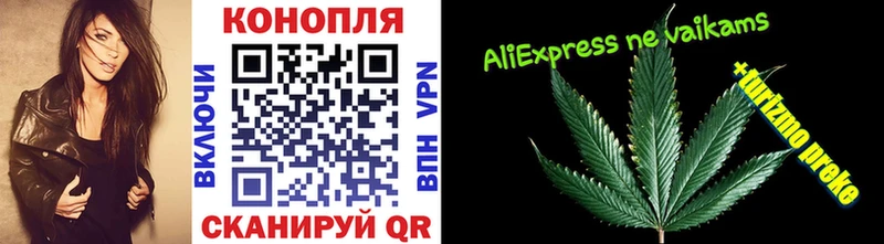 Бошки марихуана гибрид  кракен ТОР  Высоцк  купить наркотики сайты 